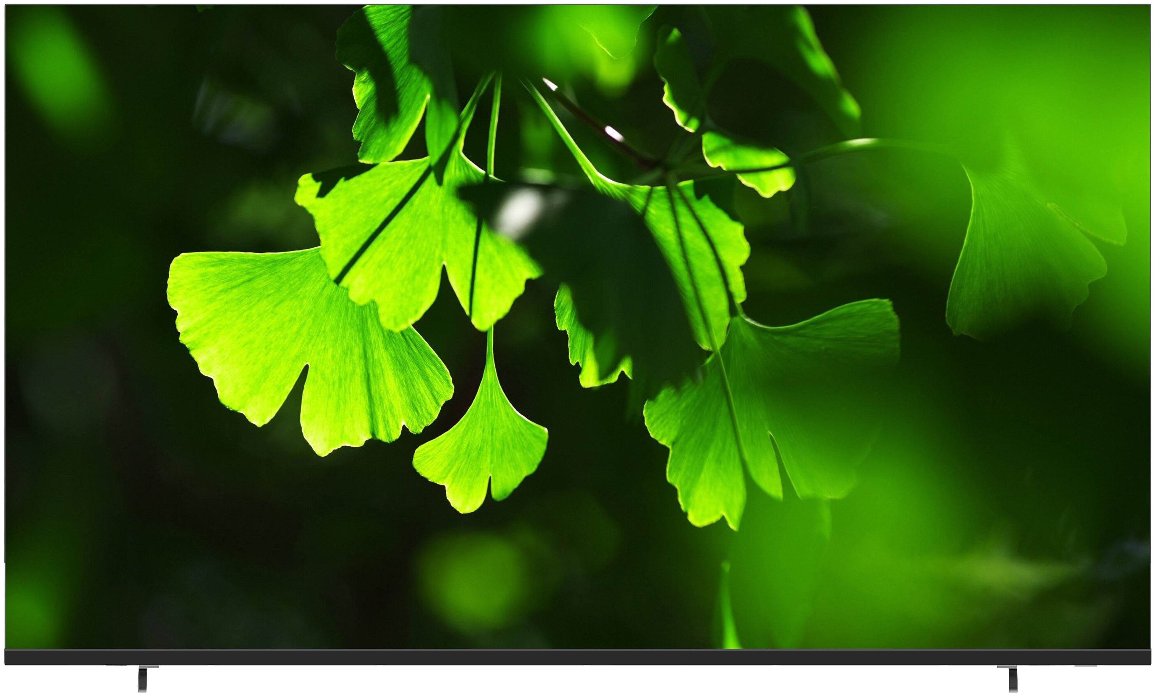 

LCD телевизор 4K UHD Horion WEE5-65FU-FDVB, WEE5-65FU-FDVB