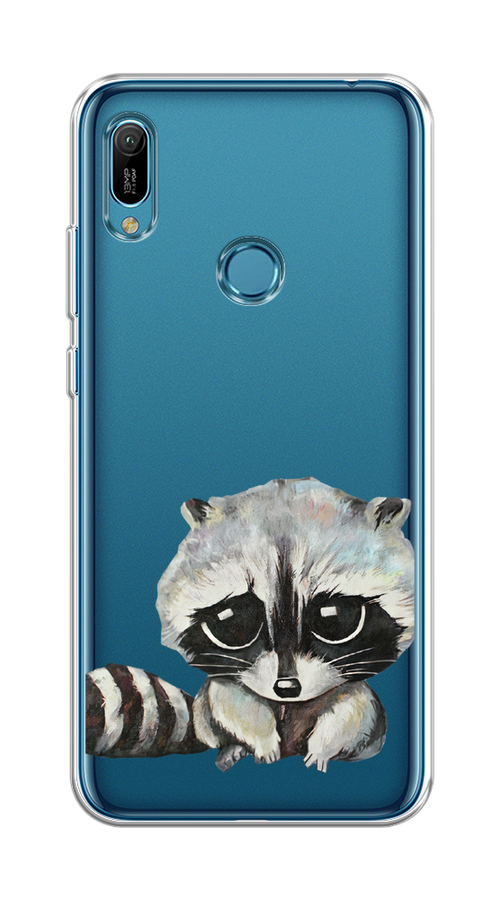 

Чехол на Huawei Y6 2019/Honor 8a/8a Pro/Y6s "Большеглазый енот", Серый;черный;прозрачный, 68750-1