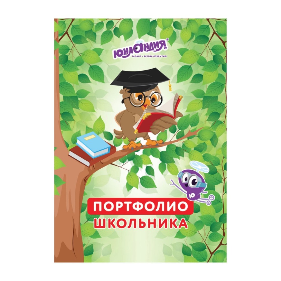 

Набор из 5 шт, Листы-вкладыши для портфолио ШКОЛЬНИКА (129899)