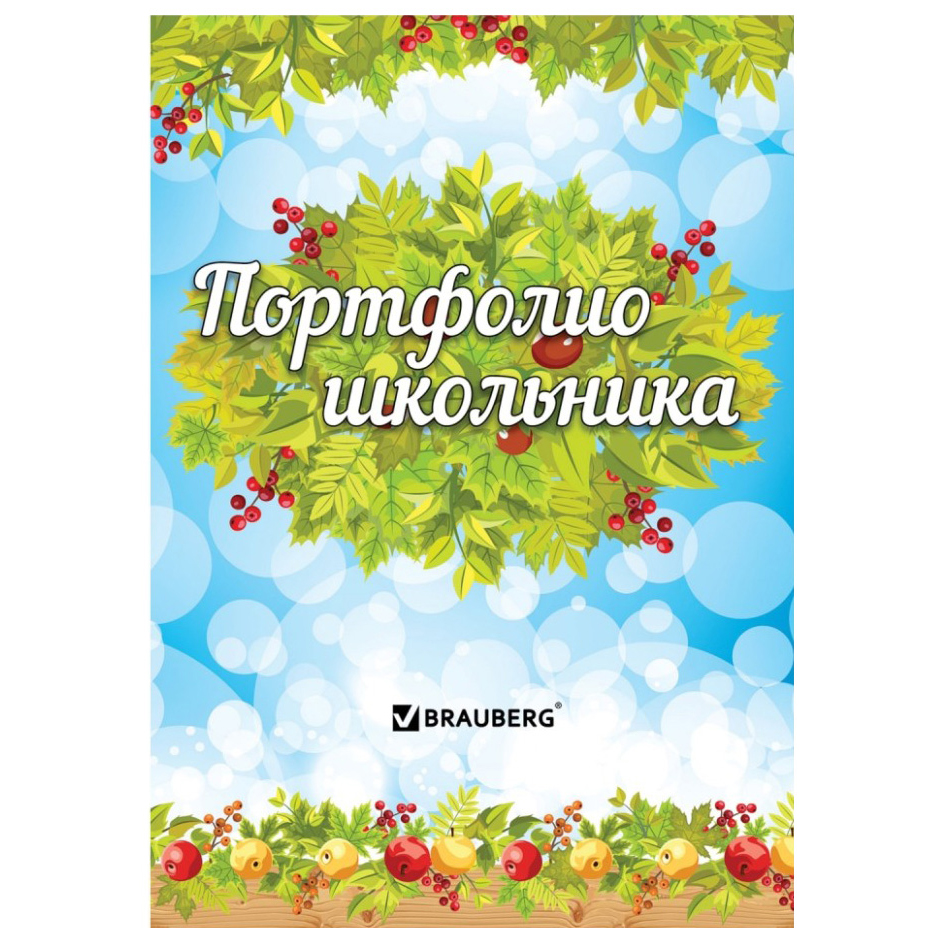 

Набор из 5 шт, Листы-вкладыши для портфолио школьника (126896)