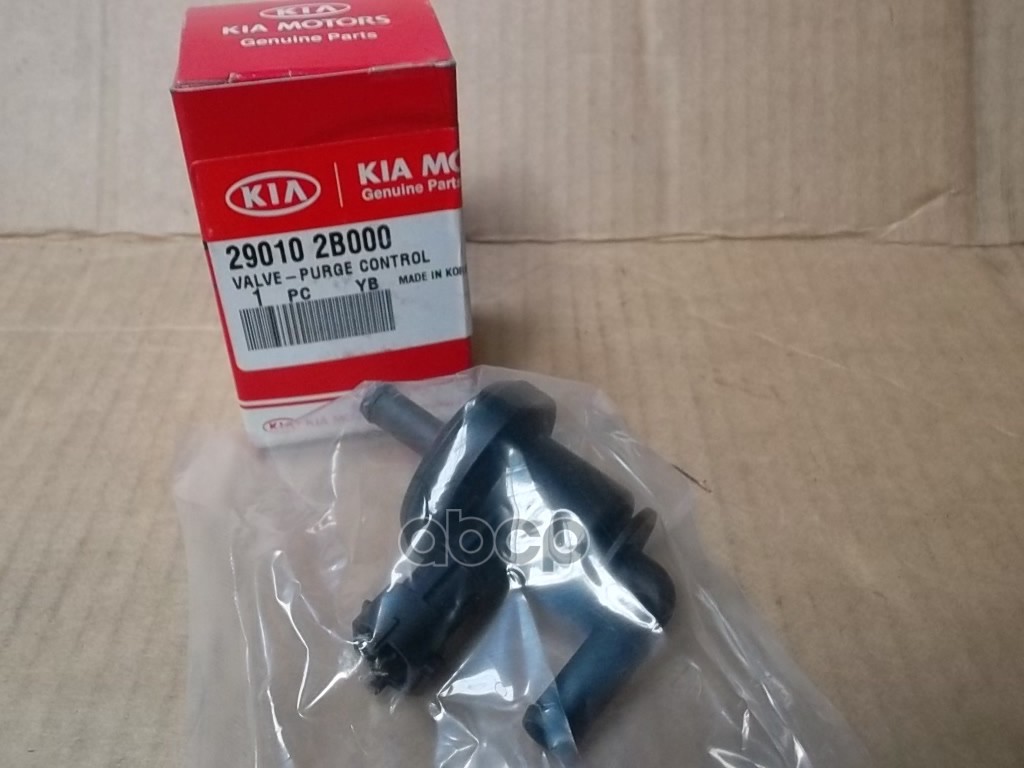 

Клапан Топливной Системы Клапан Системы Впуска Hyundai-Kia 290102B000