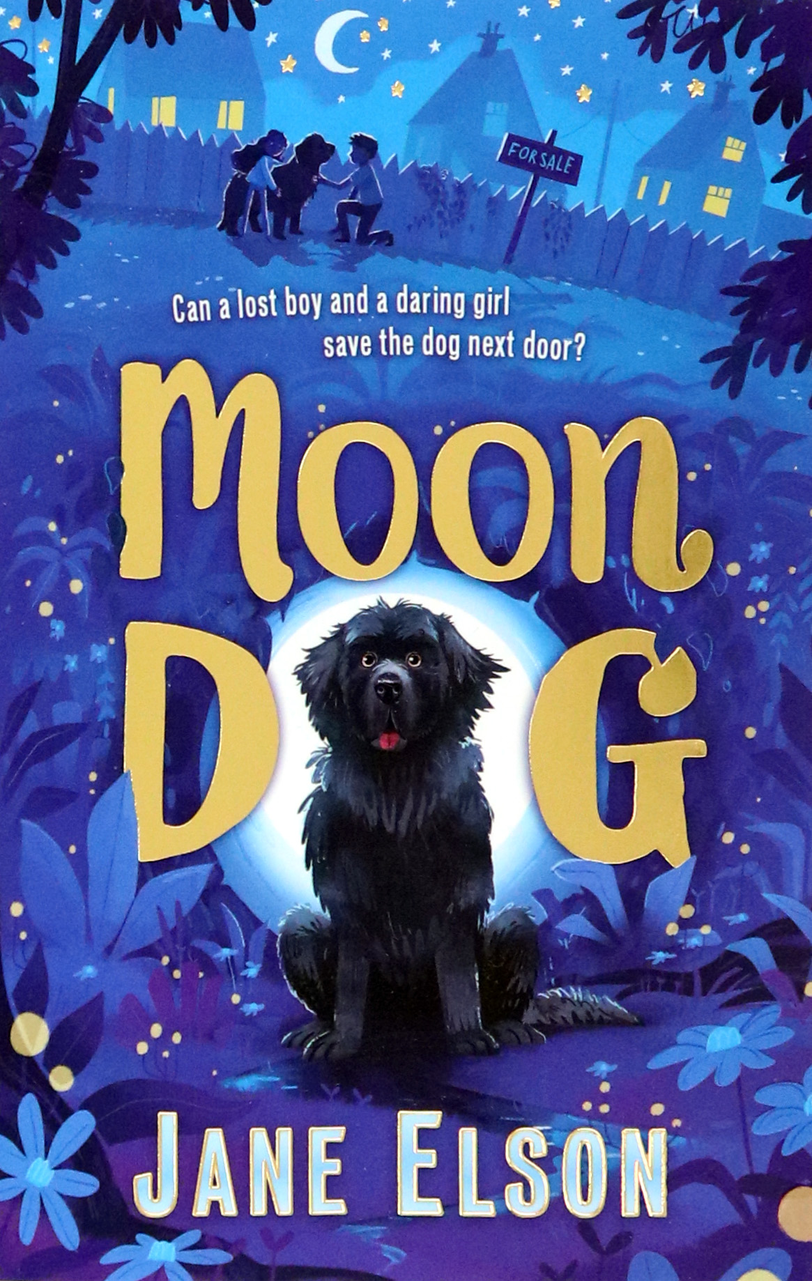 

Moon Dog