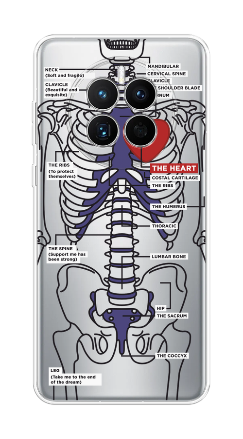 

Чехол на Huawei Mate 50 "Скелет человека", Прозрачный;синий;красный, 6109850-1