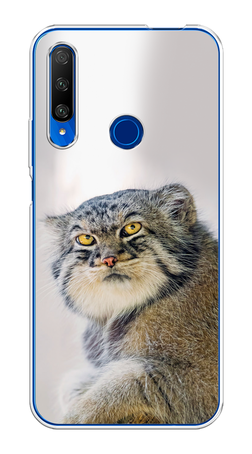 

Чехол на Huawei Honor 9X Premium "Кот манул 1", Серый;белый;желтый, 610650-1