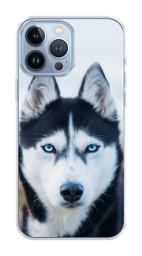 

Чехол на Apple iPhone 13 Pro Max "Хаски 2", Синий;белый, 14450-1