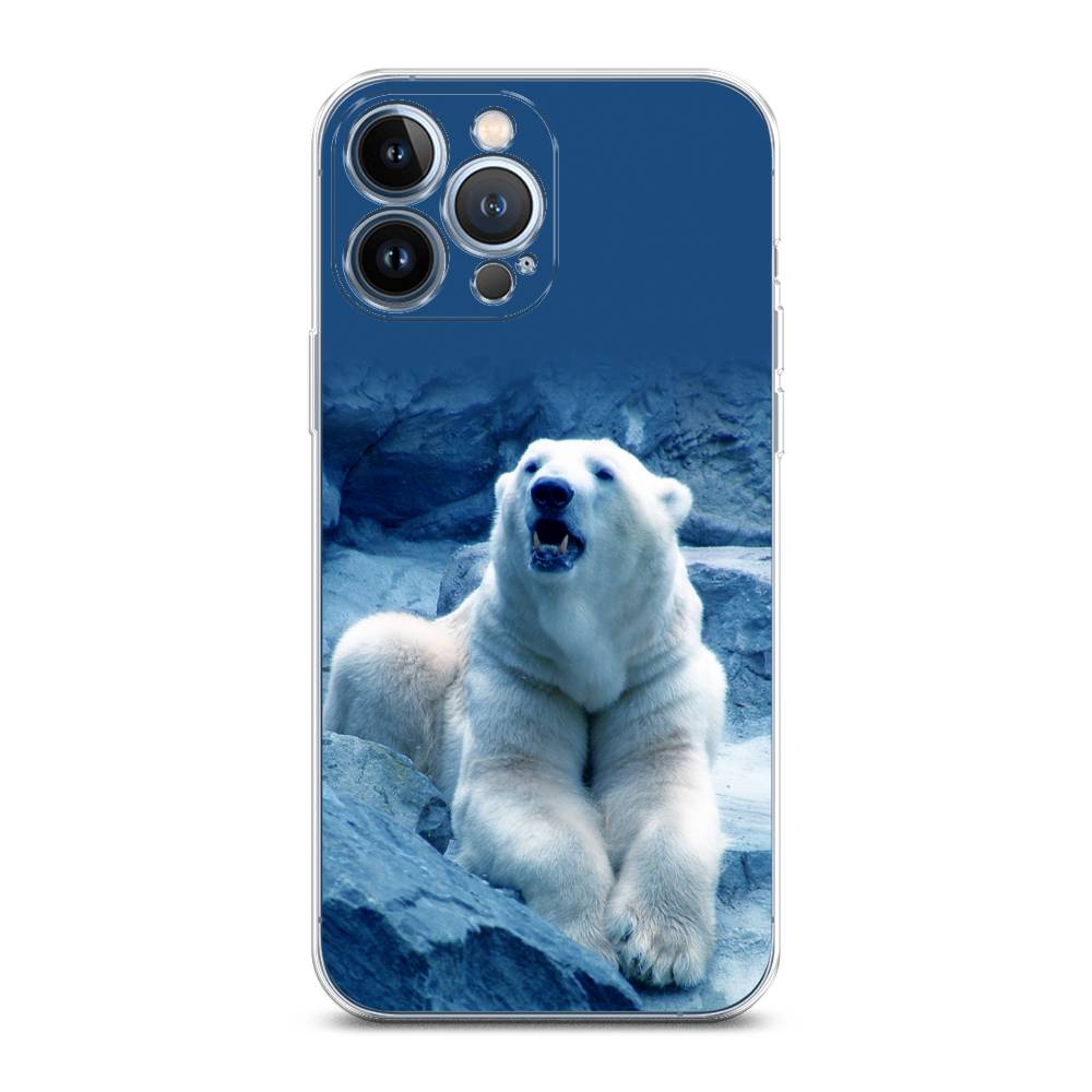

Чехол на Apple iPhone 13 Pro Max "Белый медведь", Голубой;белый, 14450-1