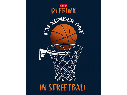 

Дневник для 1-11кл. 40л А5ф твердый переплет 3D лак -Street ball-
