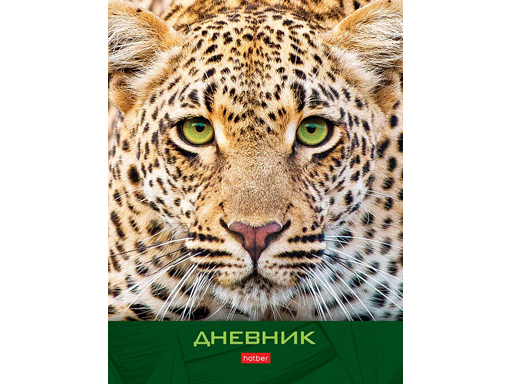 

Дневник для 1-11кл. 40л А5ф твердый переплет -ЯГУАР-