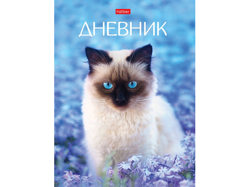 

Дневник для 1-11кл. 40л А5ф твердый переплет -КотЭлло-