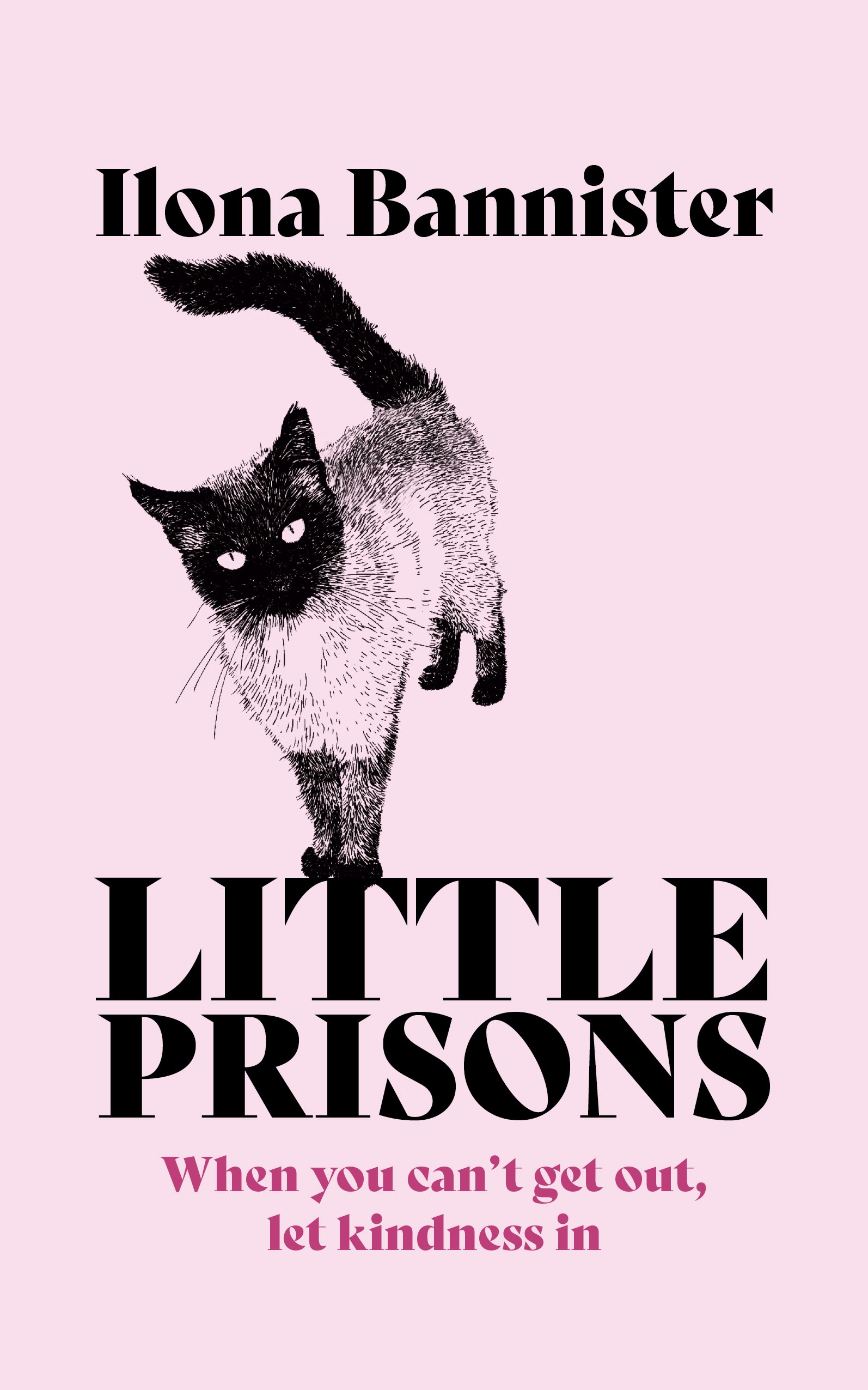 

Little Prisons