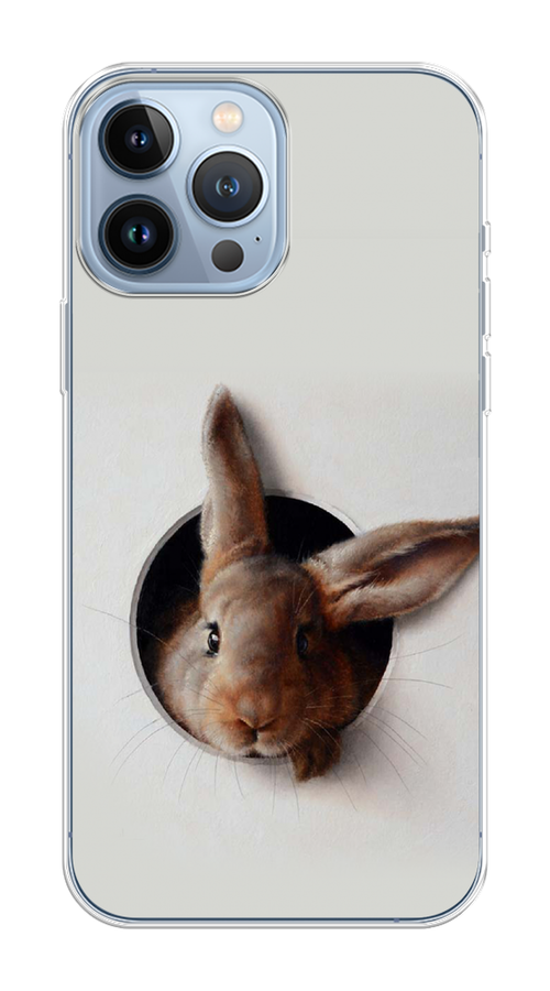 

Чехол на Apple iPhone 13 Pro Max "Любопытный кролик", Серый;коричневый, 14450-1