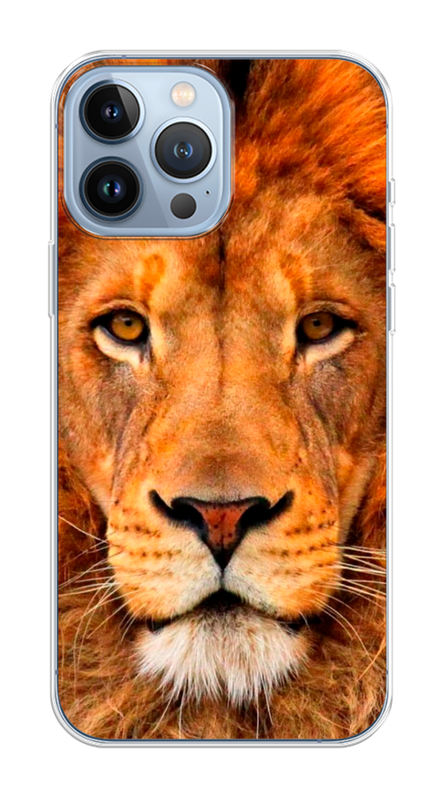 

Чехол на Apple iPhone 13 Pro Max "Благородный лев", Оранжевый, 14450-1
