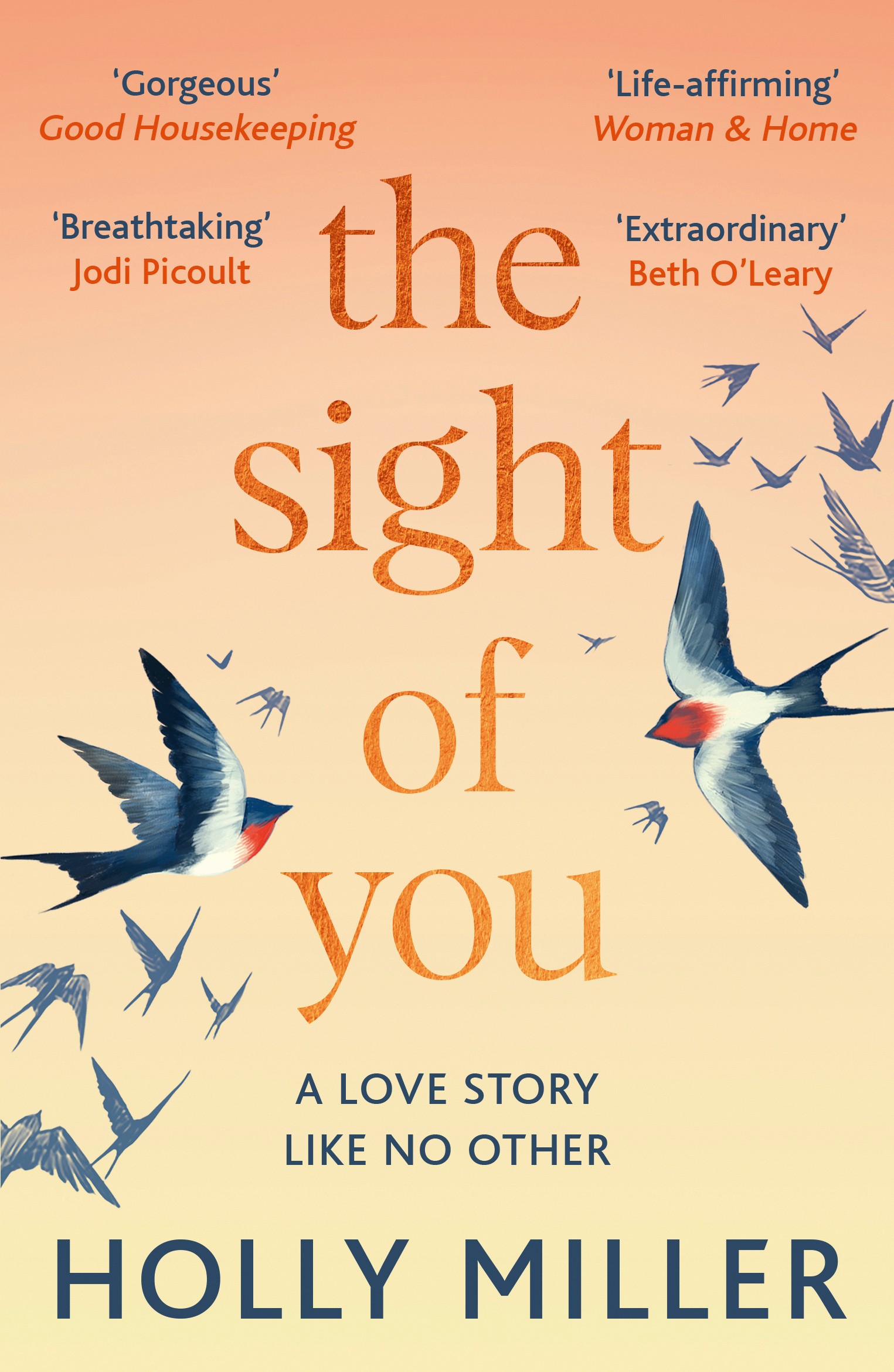 

The Sight of You