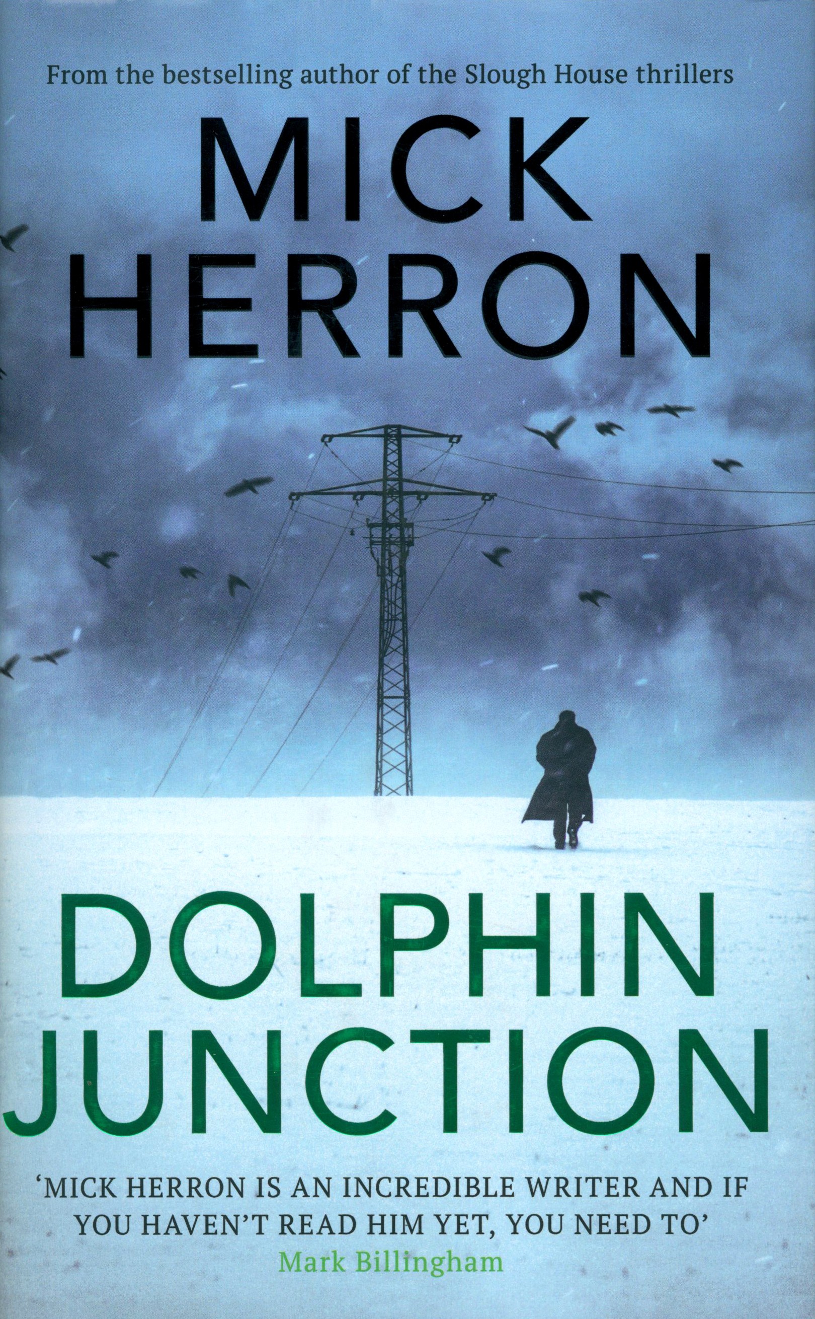 

Dolphin Junction