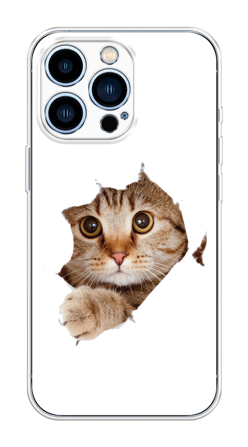 

Чехол на Apple iPhone 13 Pro "Кот и бумага", Белый;коричневый, 14350-1