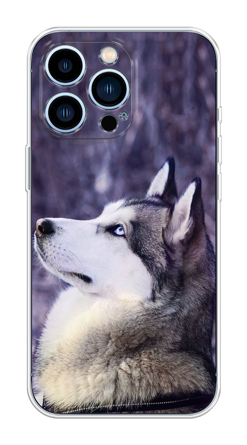 

Чехол на Apple iPhone 13 Pro "Хаски 1", Фиолетовый;белый, 14350-1