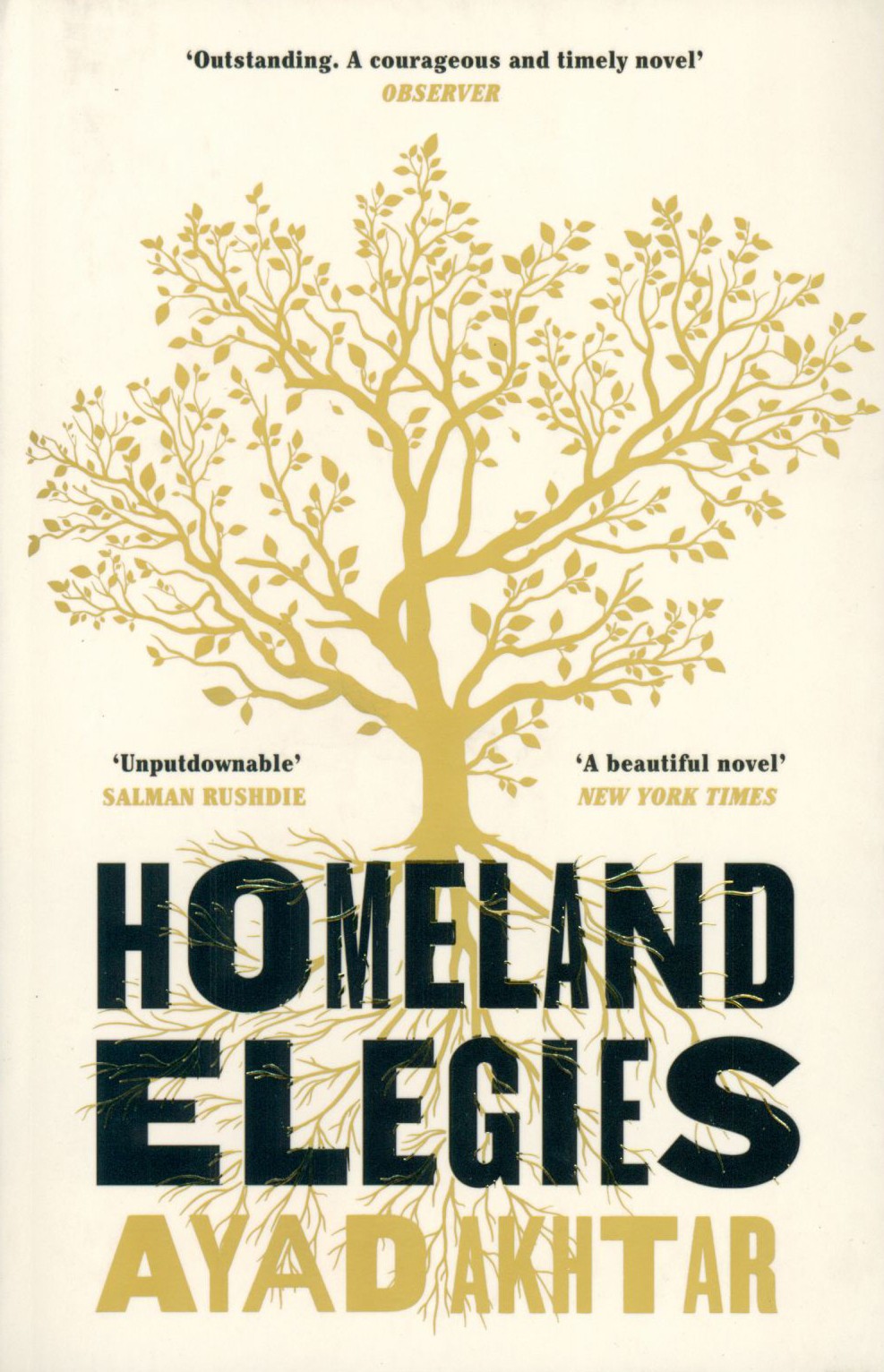 

Homeland Elegies