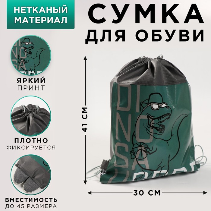 

Сумка для обуви «Динозавр», 41х30х0,5 см, Разноцветный