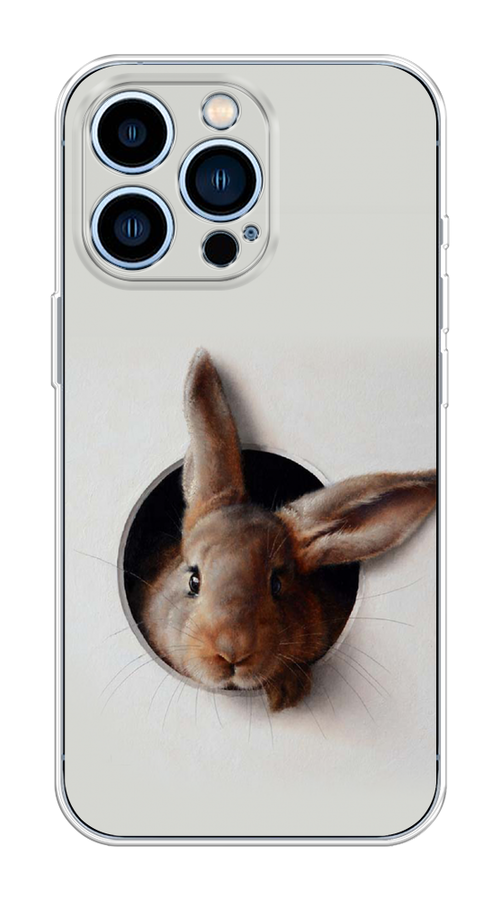 

Чехол на Apple iPhone 13 Pro "Любопытный кролик", Серый;коричневый, 14350-1