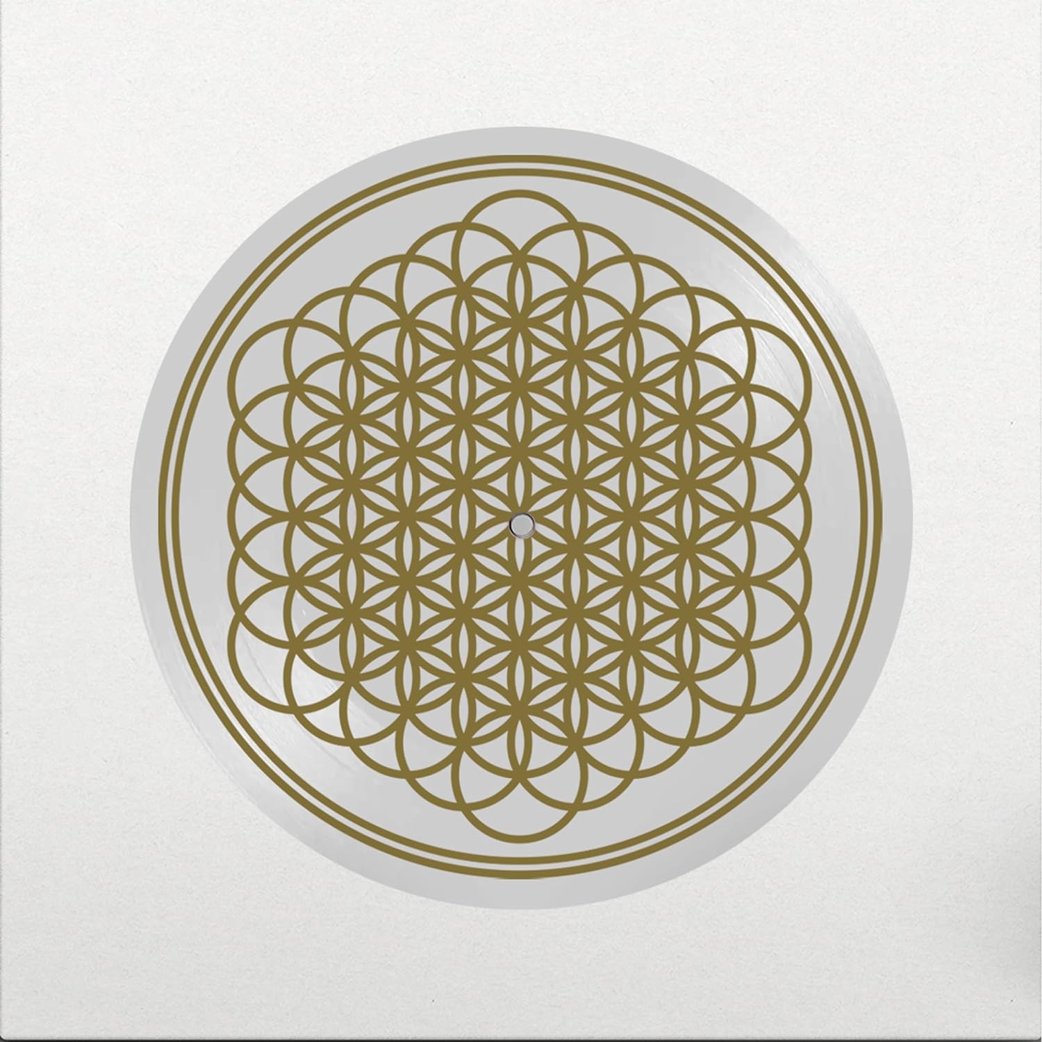 

Bring Me The Horizon Sempiternal 10th Anniversary (Picture) (LP)