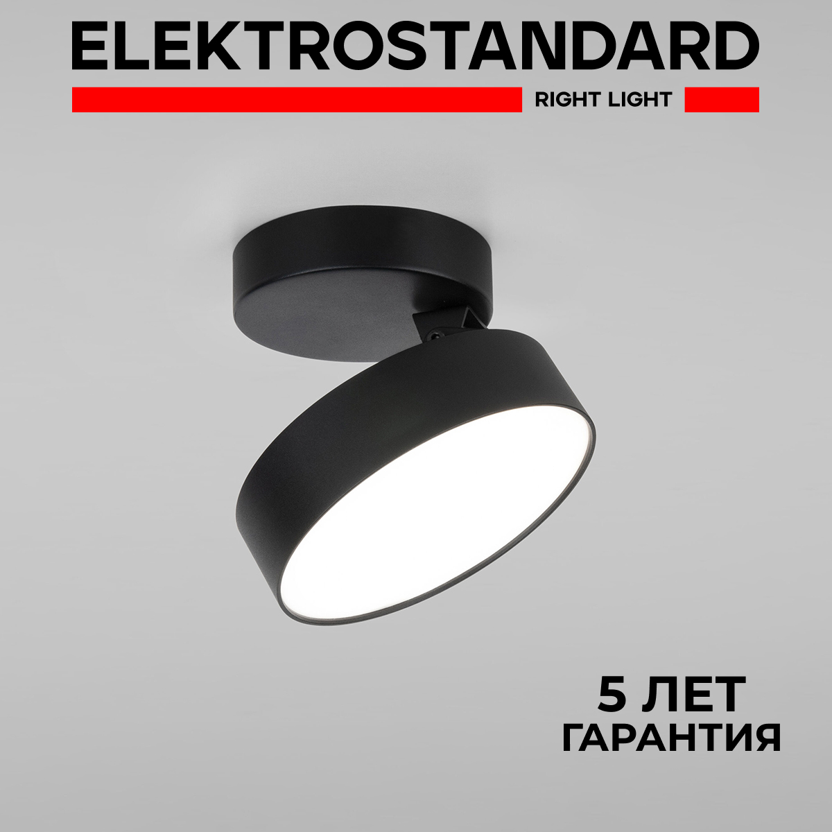 Накладной светодиодный светильник Elektrostandard Pila 25135/LED черный 12 Вт 4200 К