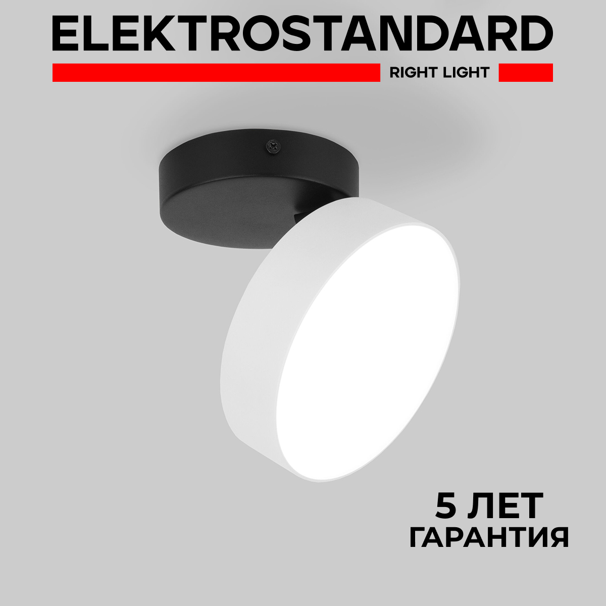 Накладной светодиодный светильник Elektrostandard Pila 25135/LED белый 12 Вт 4200 К