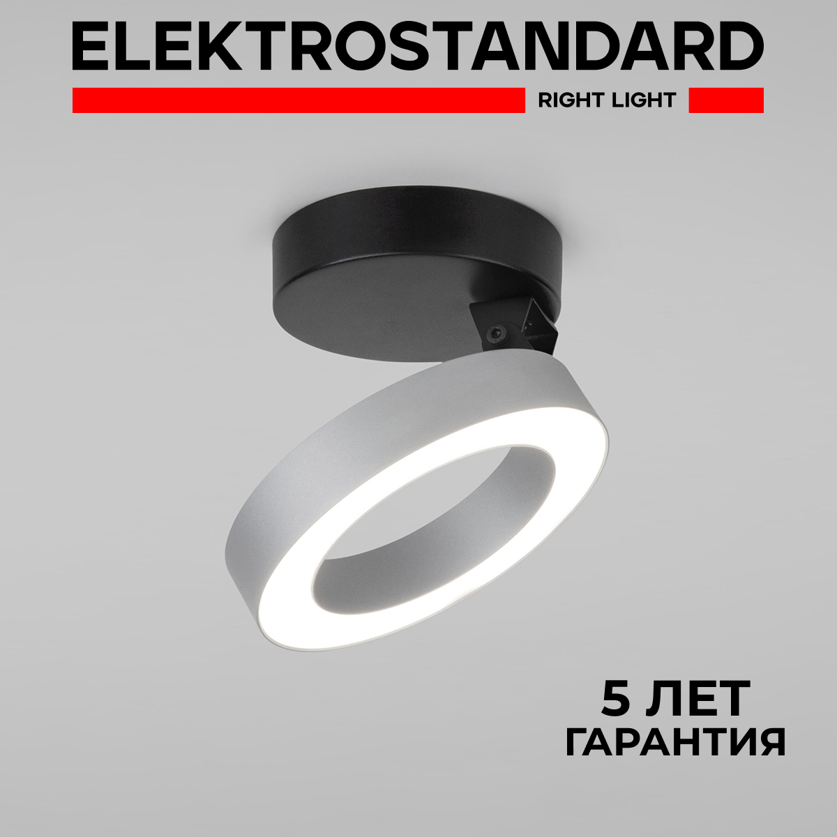 

Накладной светодиодный светильник Elektrostandard Spila 25105/LED серебро 12 Вт 4200 К, Spila 190923