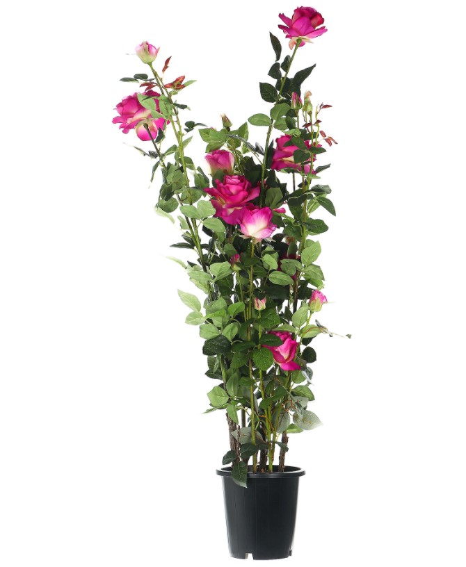 Искусственный цветок Tianjin Роза темно-розовая в кашпо 137 см