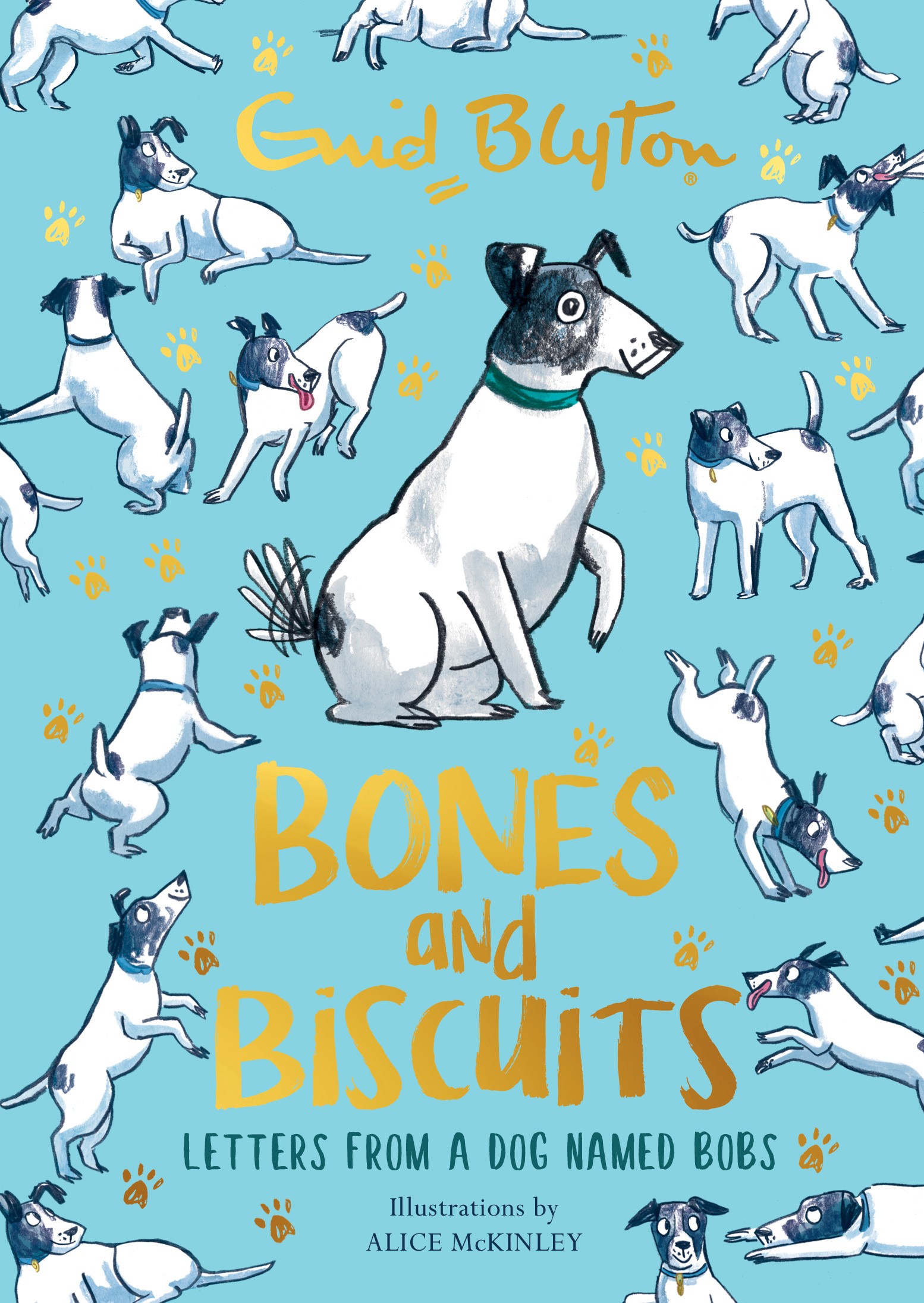 

Bones and Biscuits Letters from a Dog Named Bobs