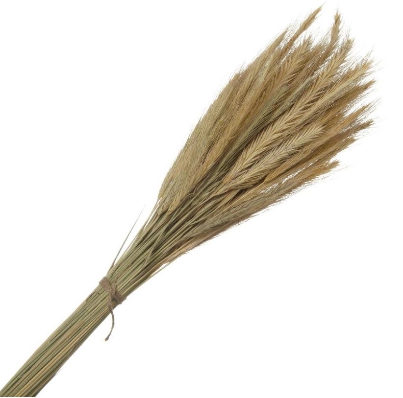 

Искусственная рожь НВ декоративная 70 х 12 х 7 см