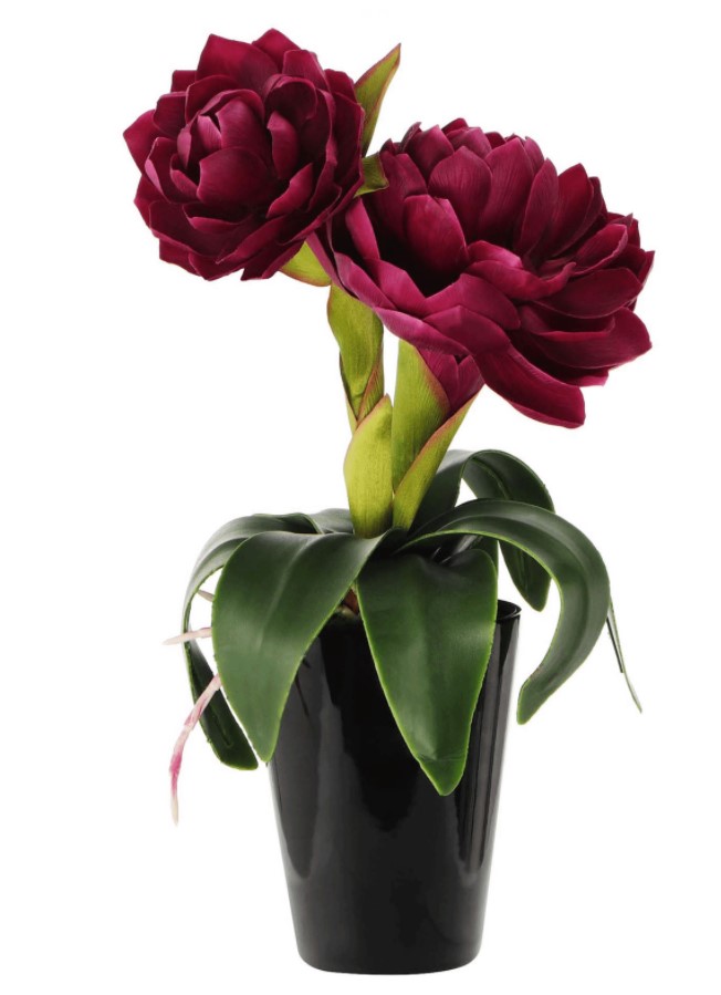 

Искусственный цветок Colorful Лотос Nelumbo бордовый в горшке 41 см