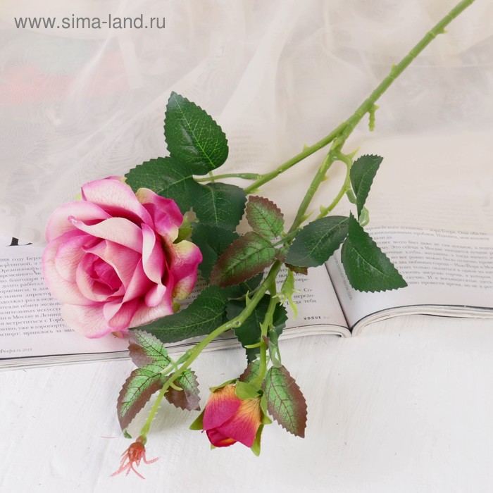 Цветы искусственные Роза душистая 9*50 см, бело-сиреневый