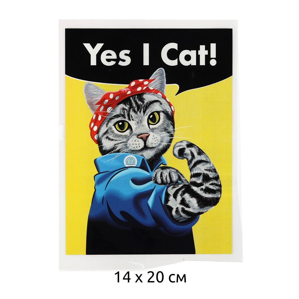 

TBY I Cat 14х20 см, 10 шт, Разноцветный, I Cat 14х20 см, 10 шт