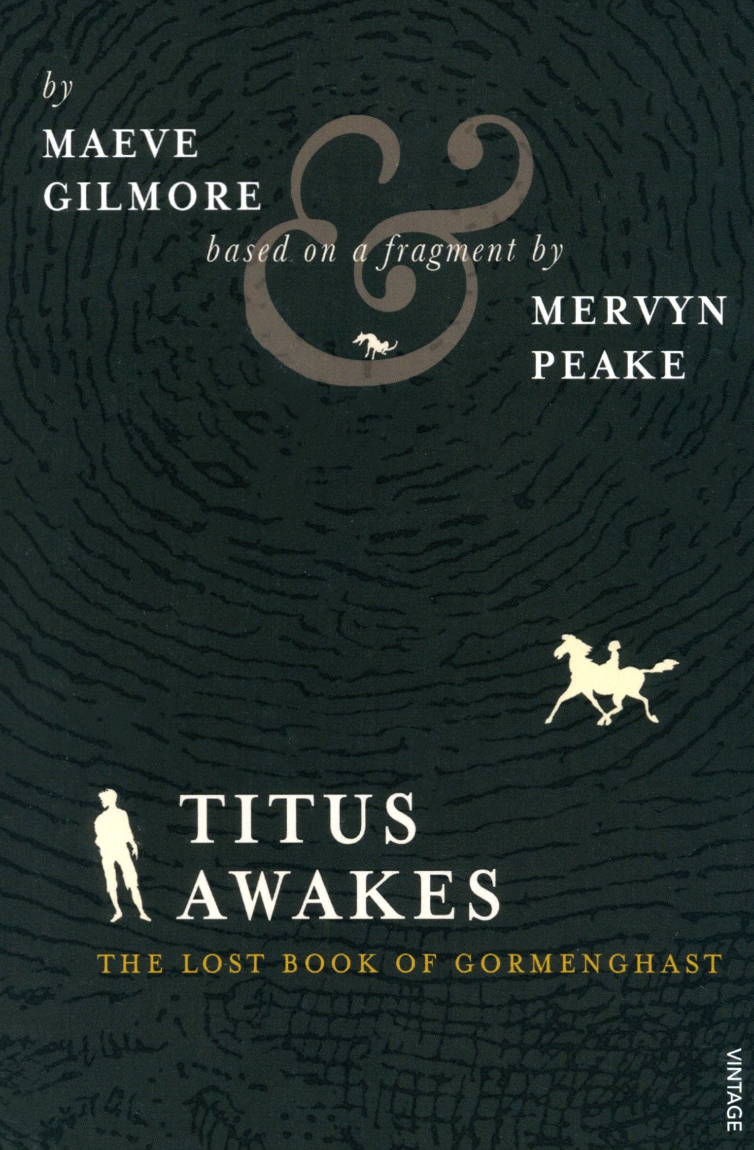 

Titus Awakes The Lost Book of Gormenghast