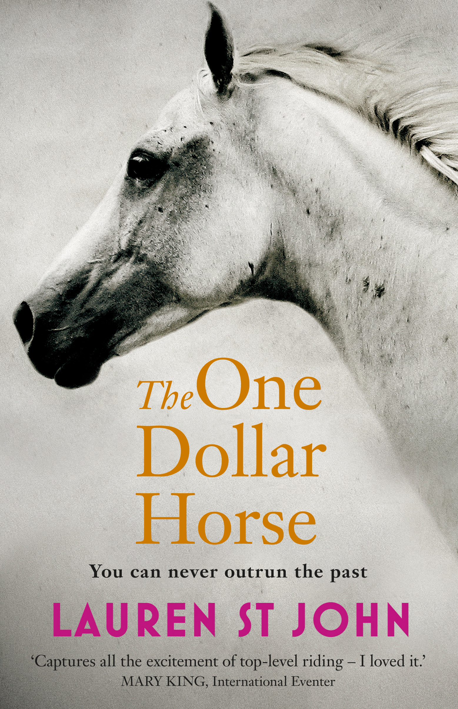 

The One Dollar Horse