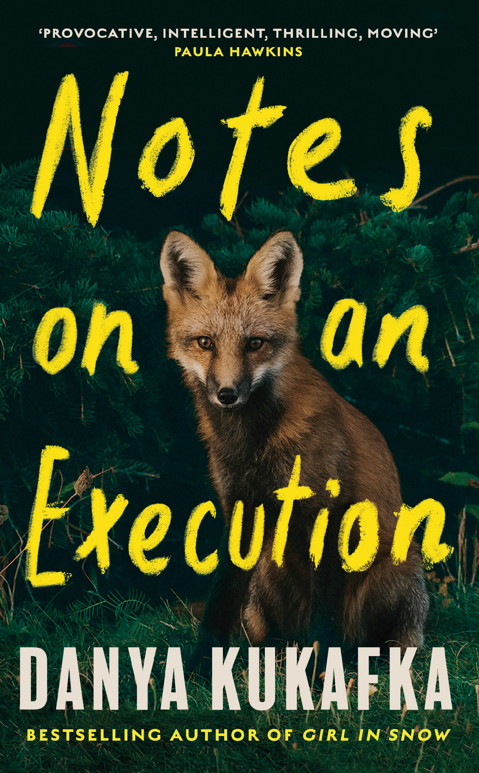 

Notes on an Execution