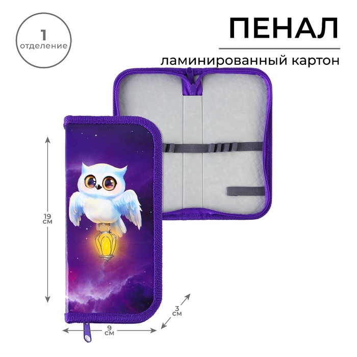 

Пенал 1 секция 90*190 лам.карт ПО-03 ArtFox STUDY дев "Совушка", (2шт.), Фиолетовый