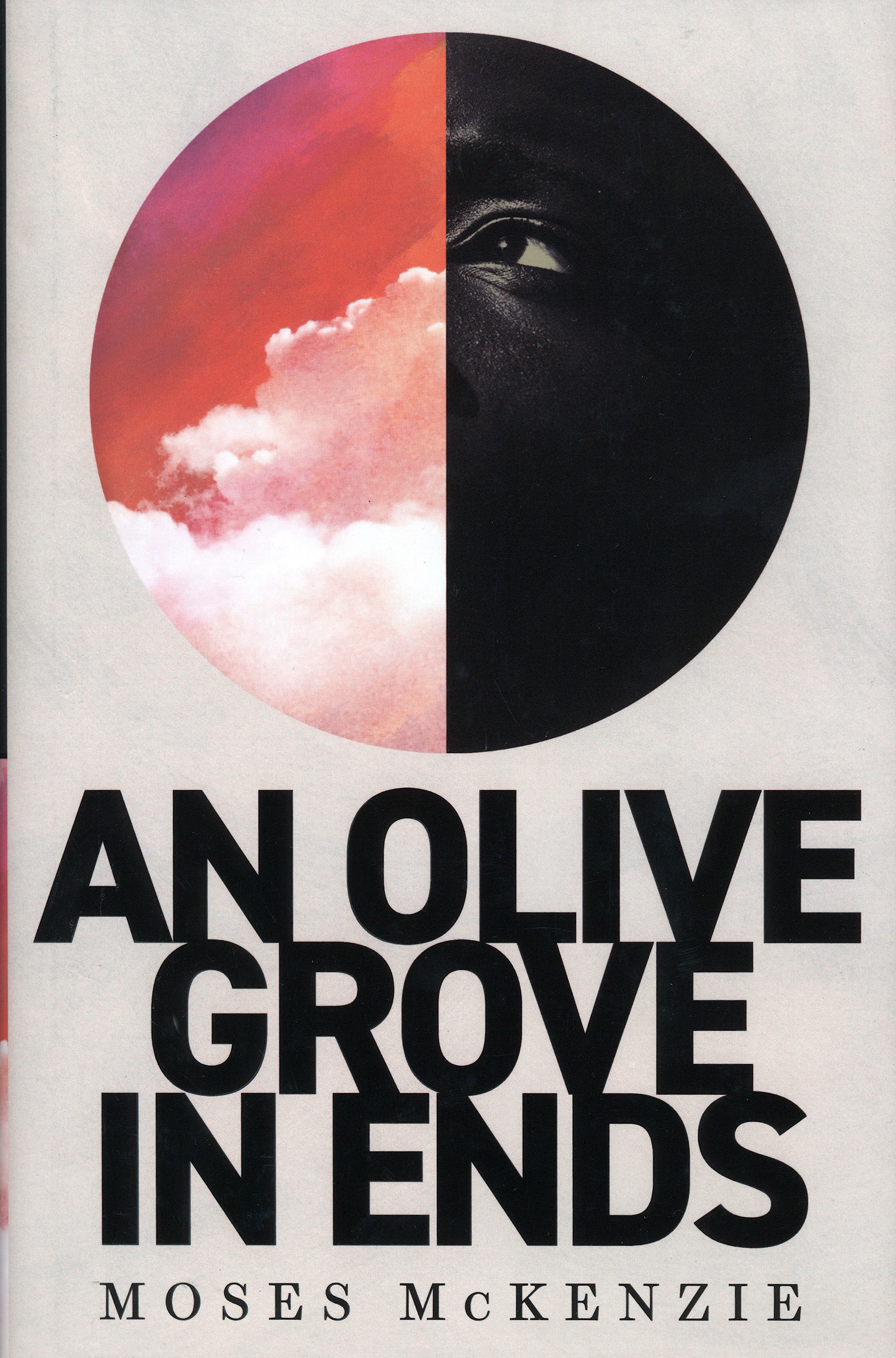 

An Olive Grove in Ends