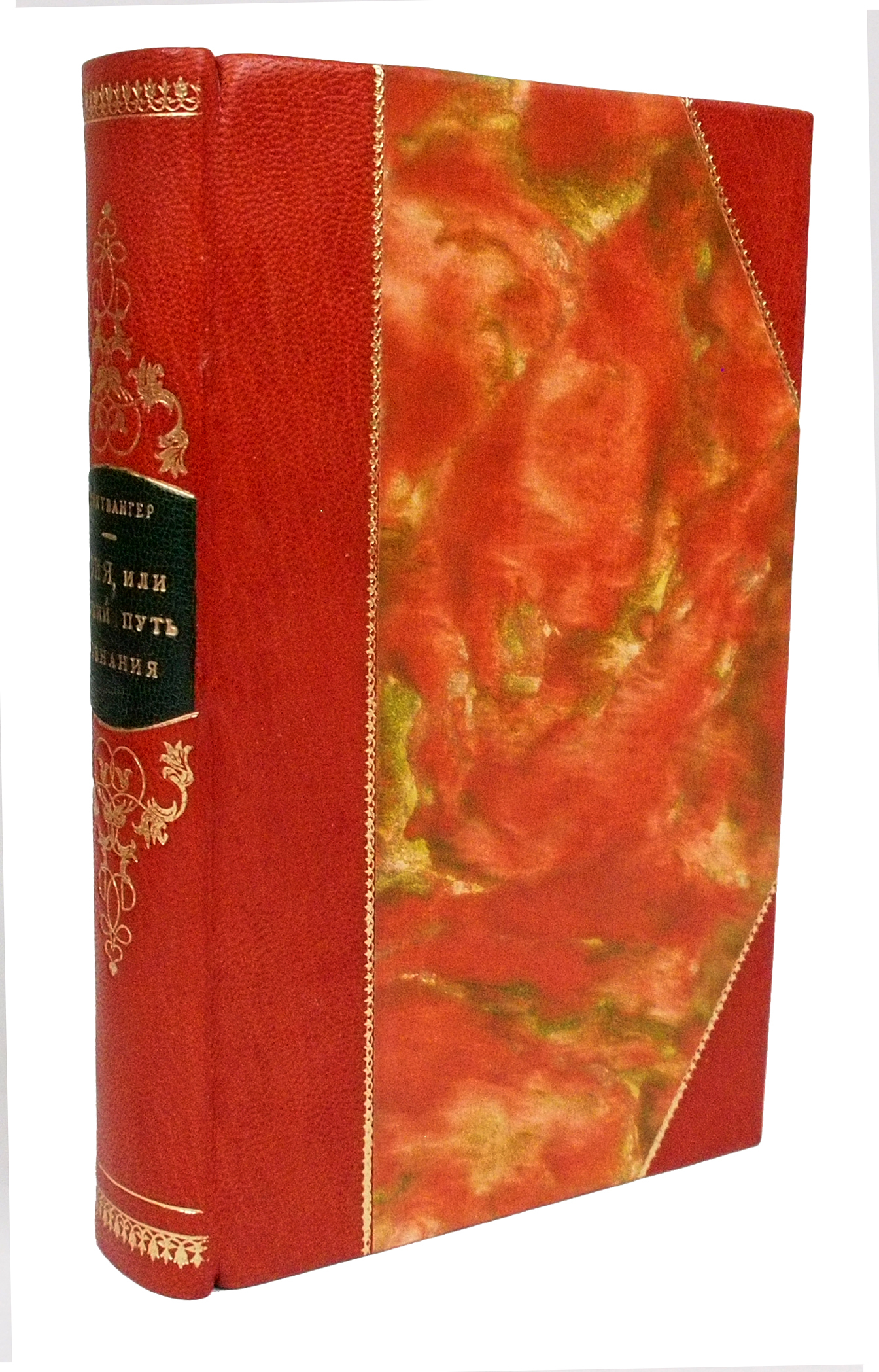 

Подарочная книга Гойя
