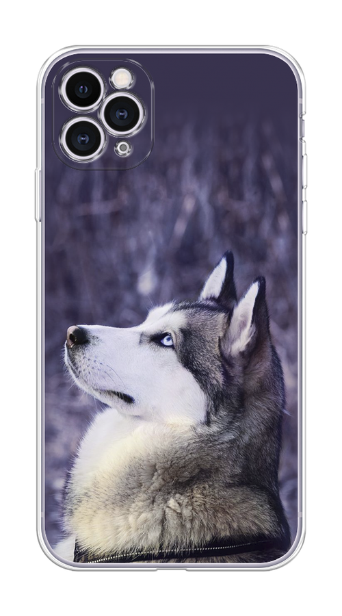 

Чехол на Apple iPhone 11 Pro "Хаски 1", Фиолетовый;белый, 12350-1