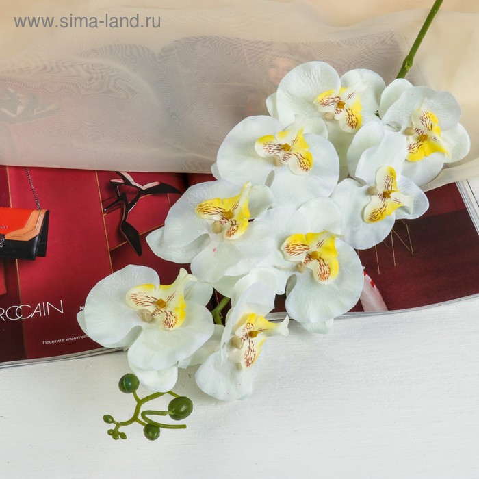

Цветы искусственные Орхидея Фонтея 8*90 см белая