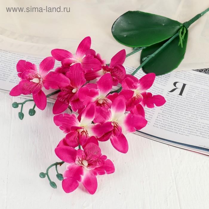 

Цветы искусственные Орхидея Фаленопсис мультифлора 6*37 см, малиновый