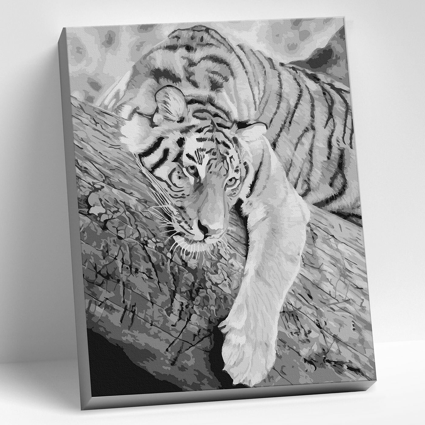 Картина по номерам Molly Тигр на дереве, 40х50 см