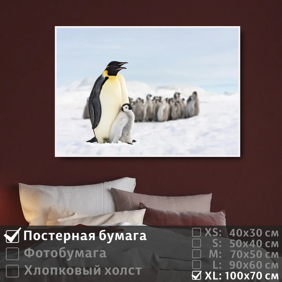 

Постер на стену ПолиЦентр Про семью пингвинов 100х70 см, ПроСемьюПингвинов1