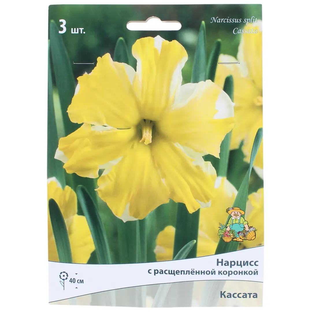 

Луковицы нарцисс Кассата SSS-82000168 3 шт.