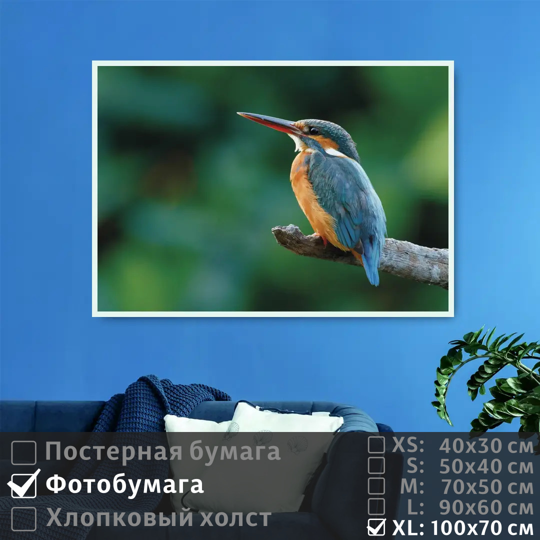 

Постер на фотобумаге ПолиЦентр Птичка на ветке 100х70 см, ПтичкаНаВетке1