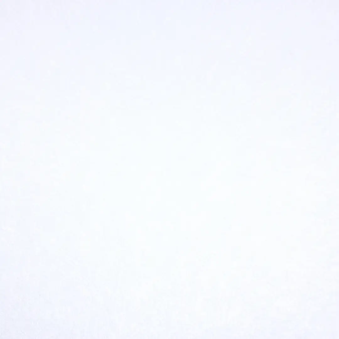 фото Стеклохолст glassband «паутинка» цвет белый 1х50 м 40 г/м2 nobrand