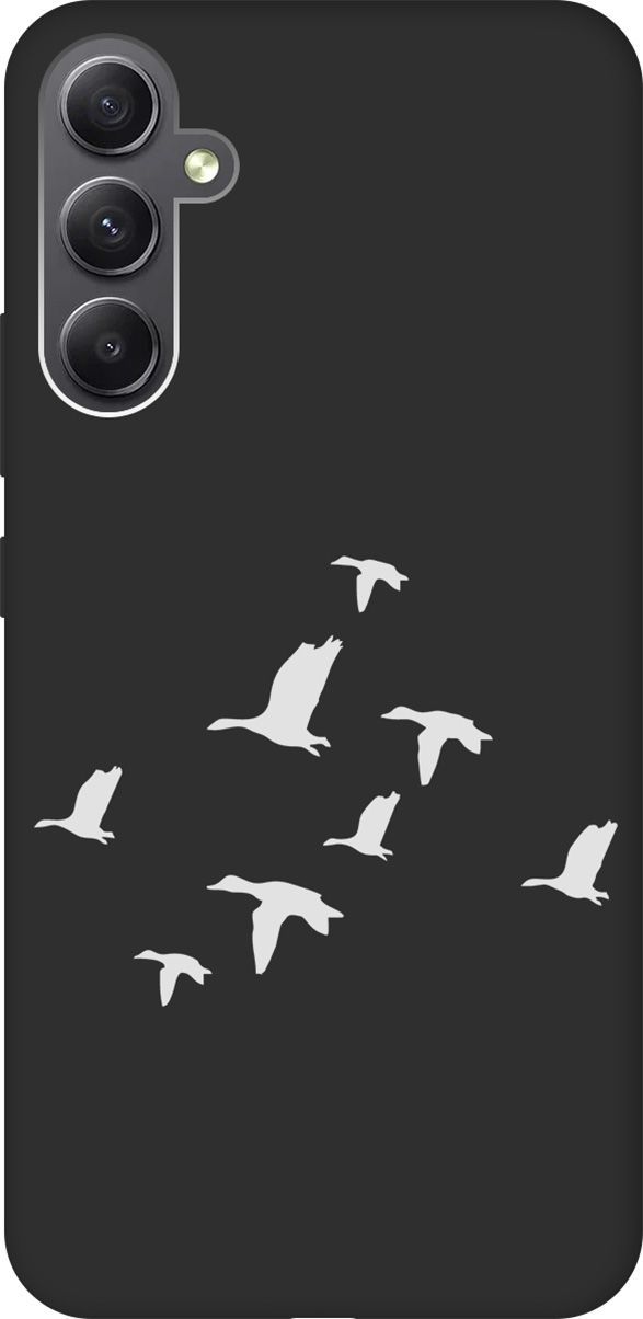 

Чехол на Samsung Galaxy A34 5G с 3D принтом "Flock of Ducks W" черный, Черный;серый, 158728