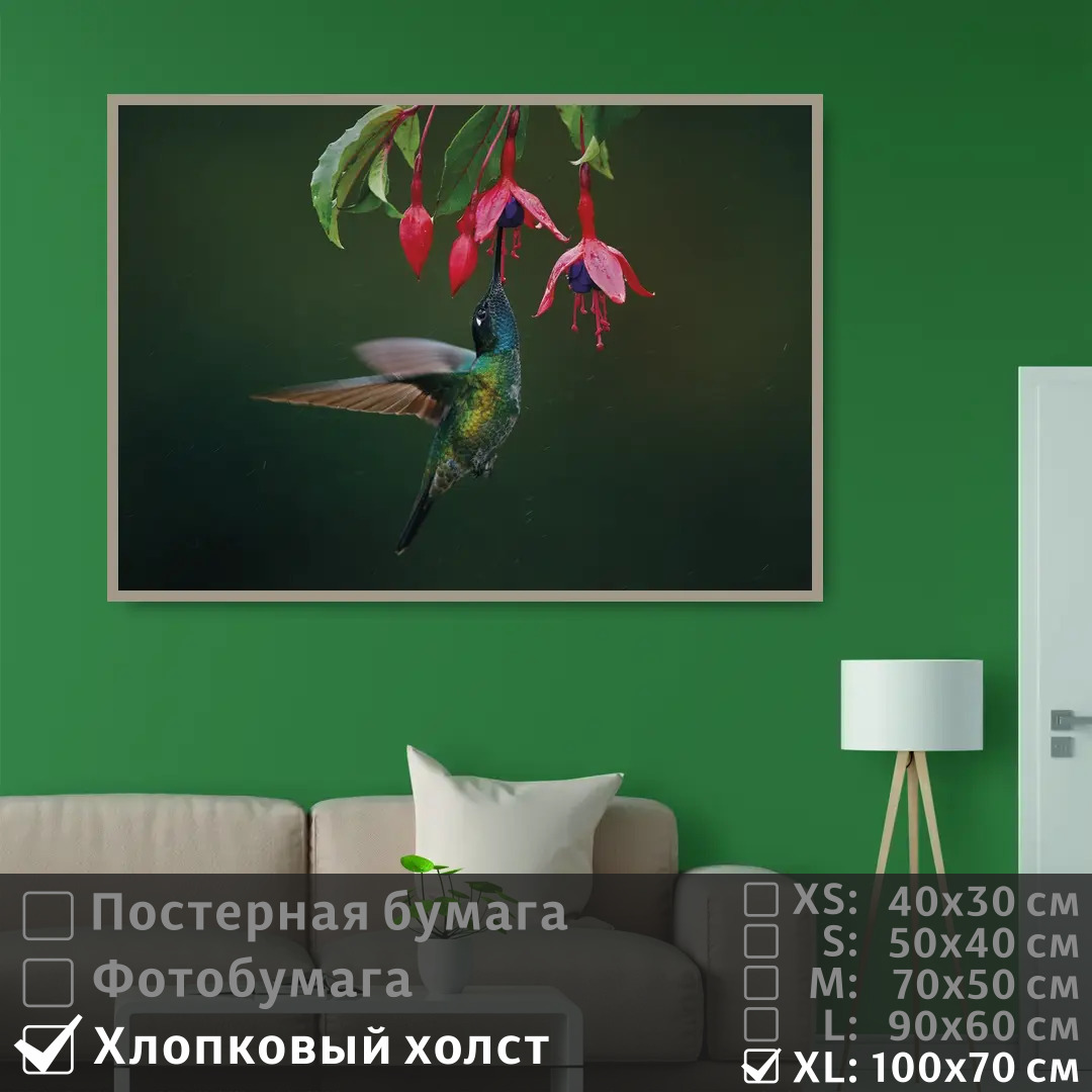 

Постер на холсте ПолиЦентр Колибри в полете с цветками фуксии 100х70 см, КолибриВПолетеСЦветкамиФуксии1