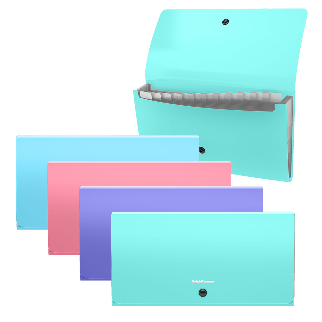 

Папка-картотека пластиковая ErichKrause Diagonal Pastel 61213, 4 шт, Разноцветный